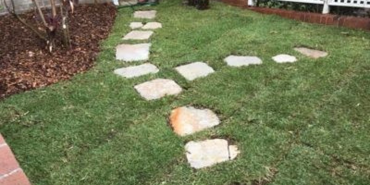 Paving the Way to a Beautiful Outdoor Oasis with Northern Beaches Garden & Trees