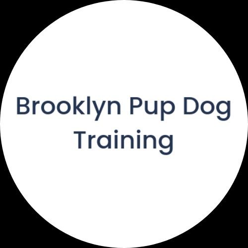 Brooklyn Pup Training