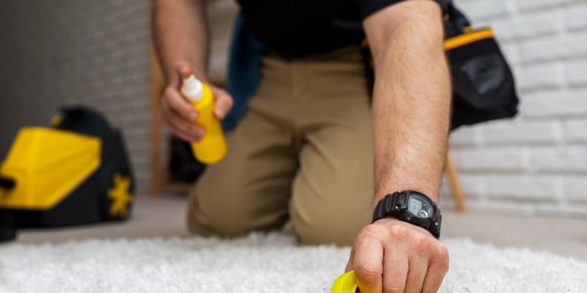 A Breakdown of Carpet Cleaning Methods – Find Which Works for You