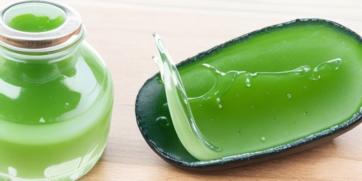 Aloe Vera Gel Manufacturing Plant Project Report 2023: Cost and Revenue