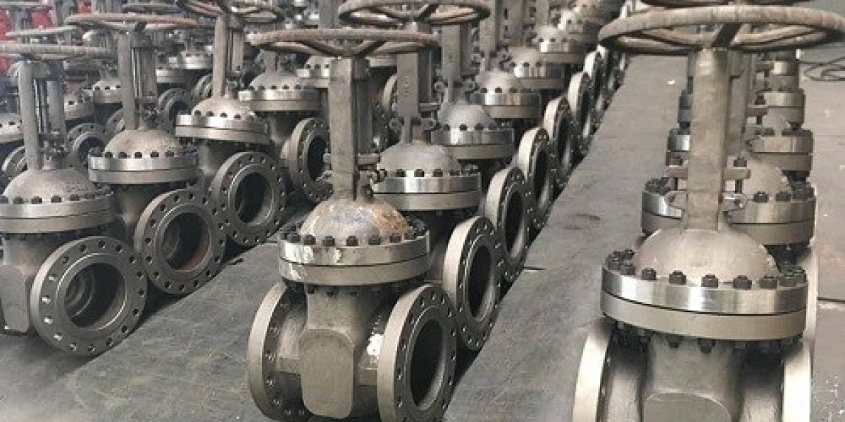 Forged steel valve supplier in Australia