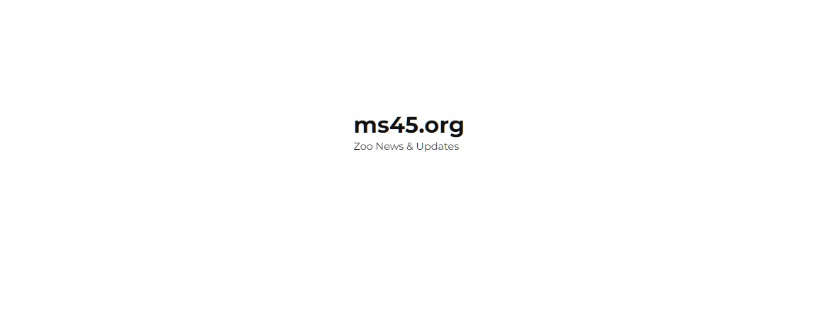 Ms org
