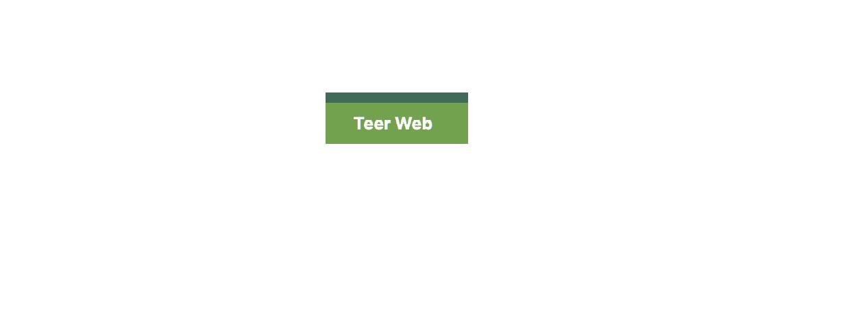 Teer web