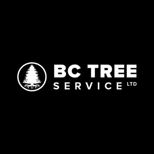 BCTreeService