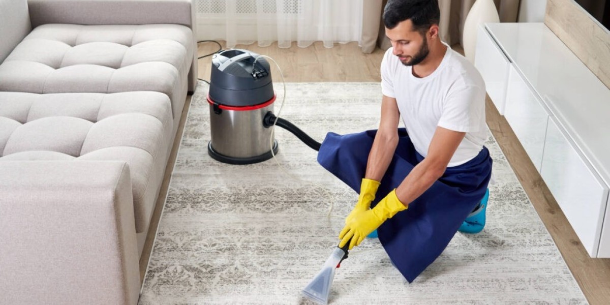 The Ultimate Guide to Professional Carpet Cleaning in Dublin