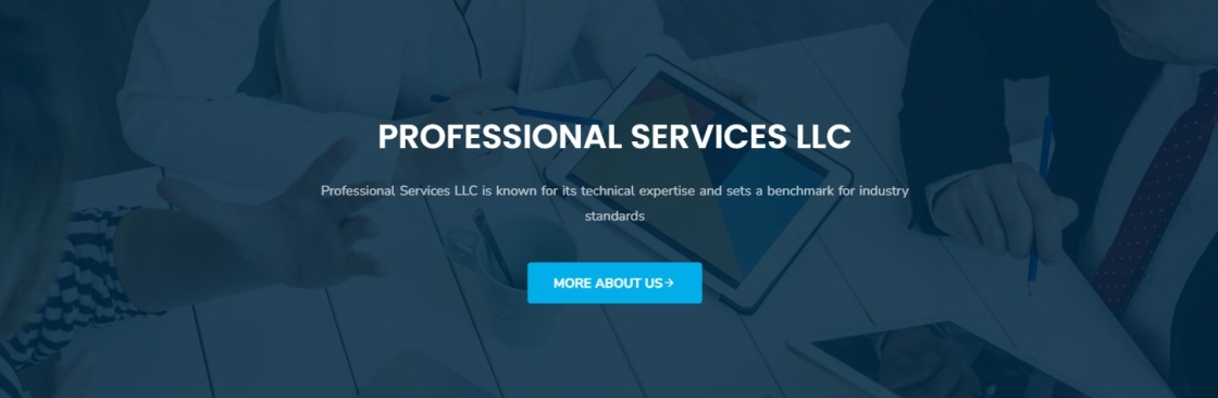 Professional Services LLC