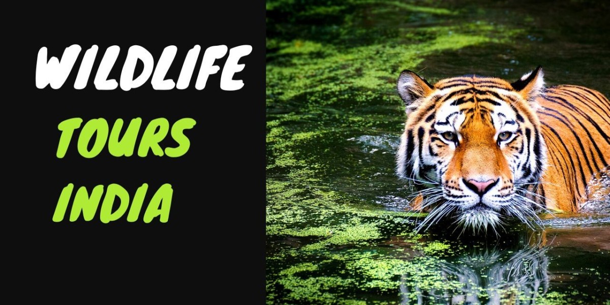 Unveiling India's Biodiversity: Embark on Captivating Wildlife Tours with India Tours