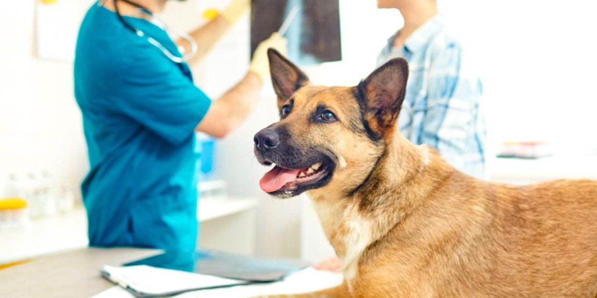 Ensuring the Well-being of Our Furry Companions: A Comprehensive Overview of the Global Animal Health Market in 2024 and