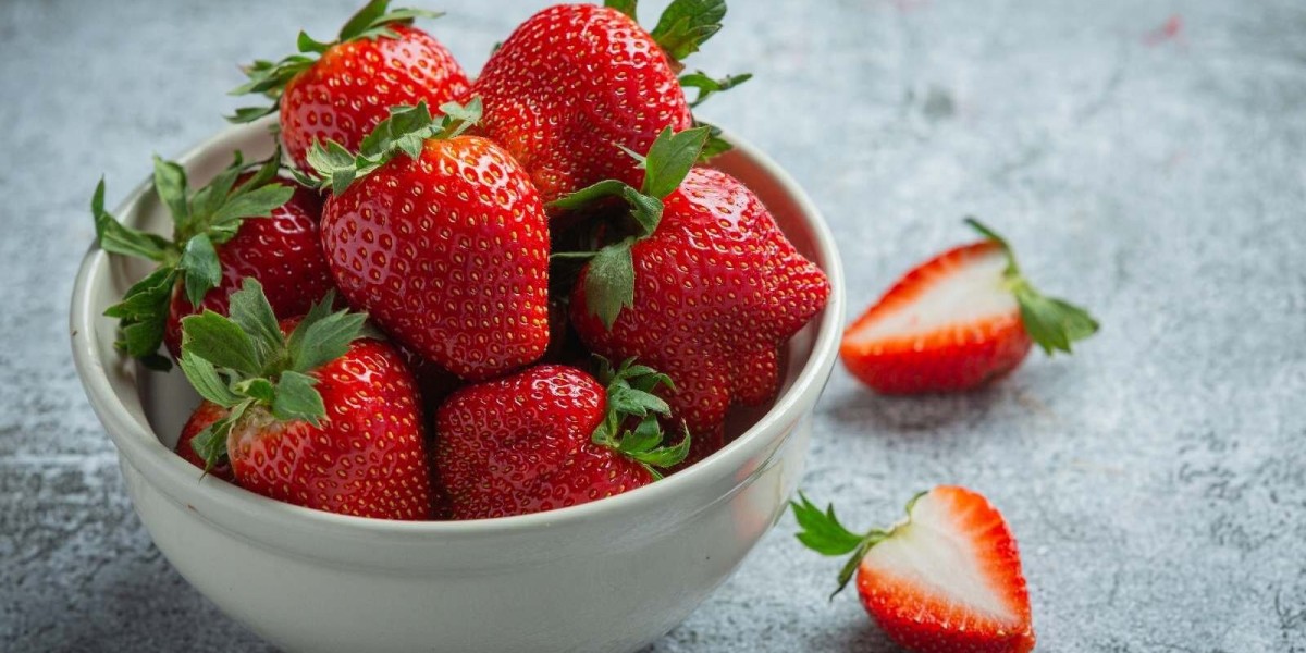 Strawberry Processing Plant Project Report 2024 Edition