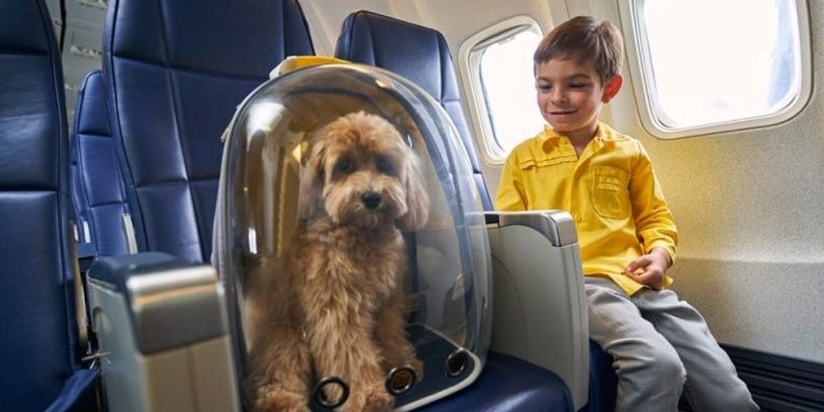 Spirit Airlines Pet Fee & Policy