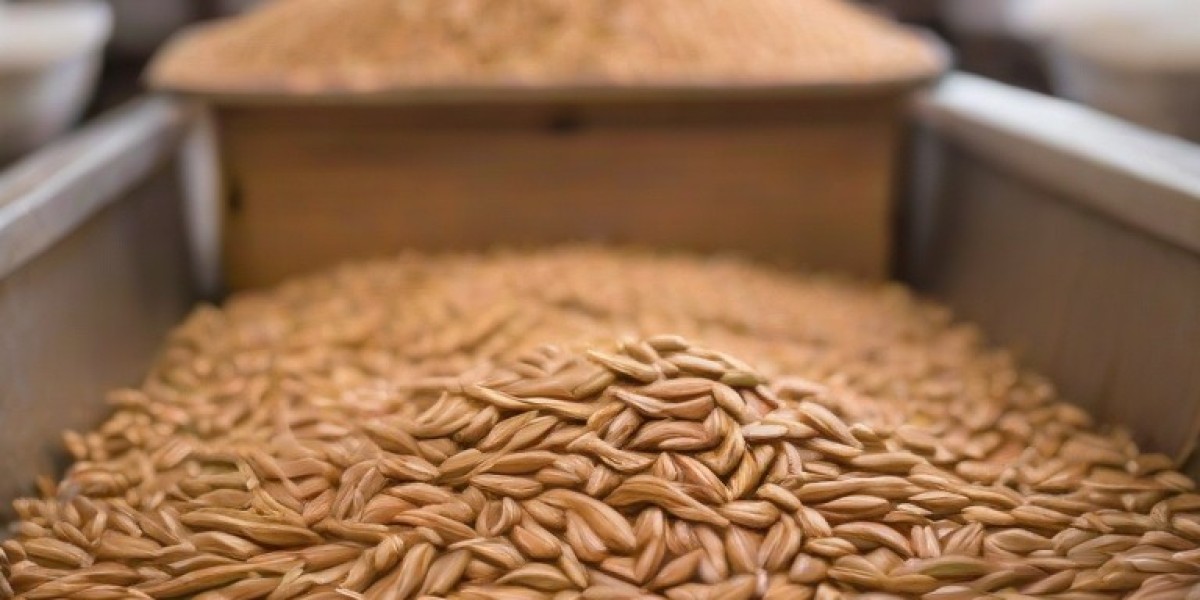 Farro Processing Plant Cost 2024: Project Report, Plant Setup and Business Plan
