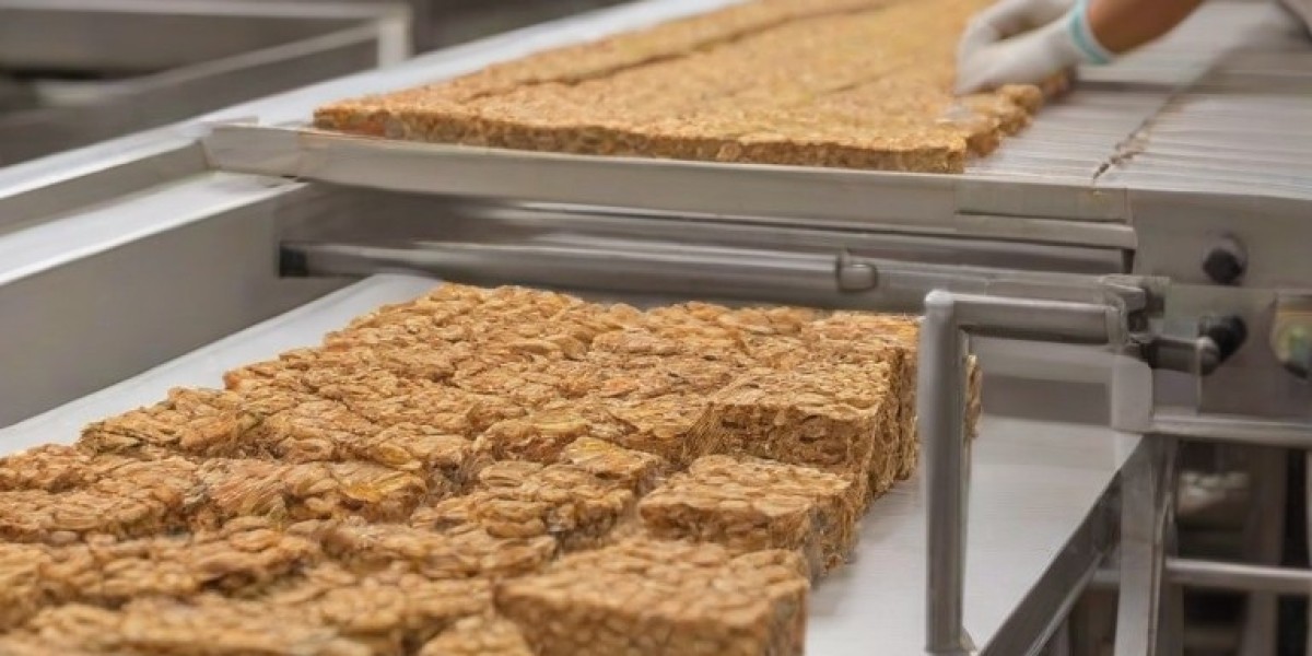 Comprehensive Approach to Setting Up a Granola Bars Manufacturing Plant