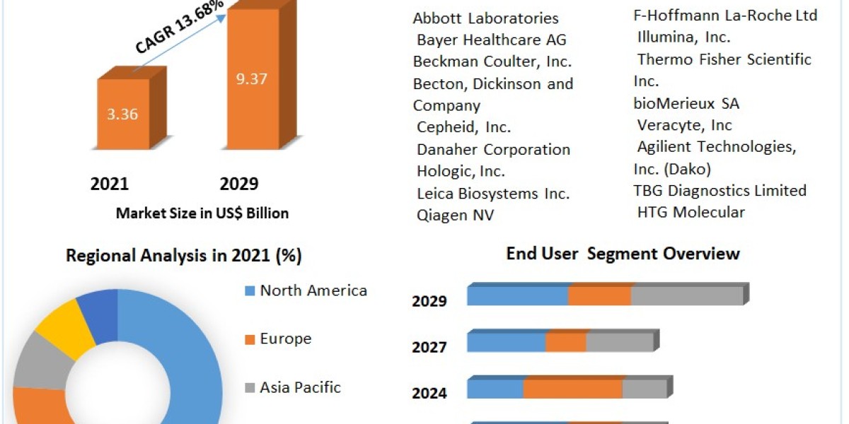 Oncology Molecular Diagnostic Market Size, Share, Trends, Analysis, Competition, Growth Rate, and Forecast 2029