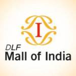 DLF INDIA