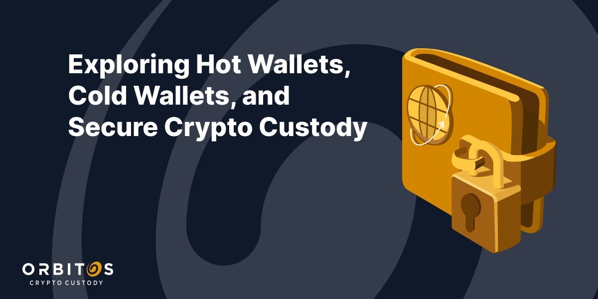 5 Best Hot Wallets of january 2024