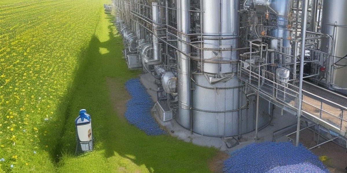 Borage Oil Processing Project Cost 2024: Plant Setup and Industry Trends