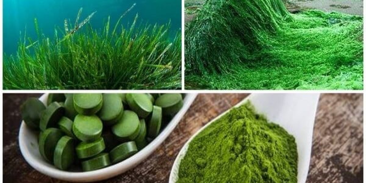 EcoHarvest Health: Spirulina Synergy for Sustainable Living