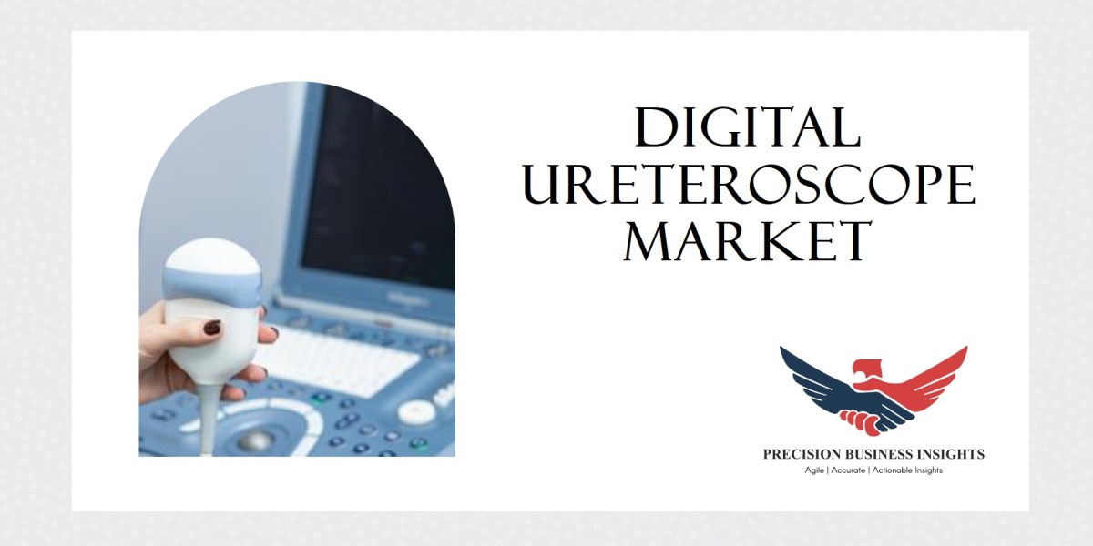 Digital Ureteroscope Market Growth, Size and Industry Overview 2024