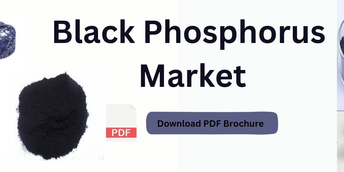 Phosphorus Ascendancy: Navigating the Demand Spectrum in Black Phosphorus Market