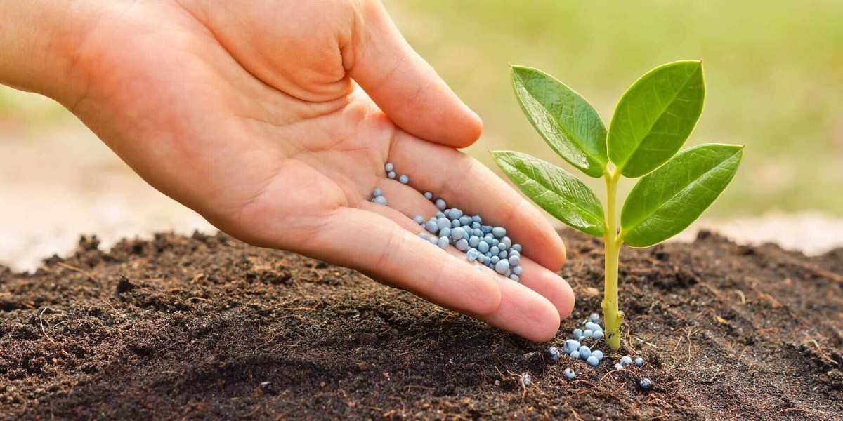 Fertilizer Manufacturing Plant Project Report 2024: Comprehensive Business Plan and Cost Analysis