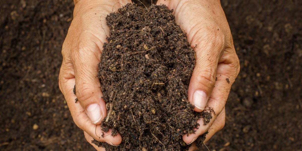 Sowing Seeds of Sustainability: Soil Conditioners Market Overview