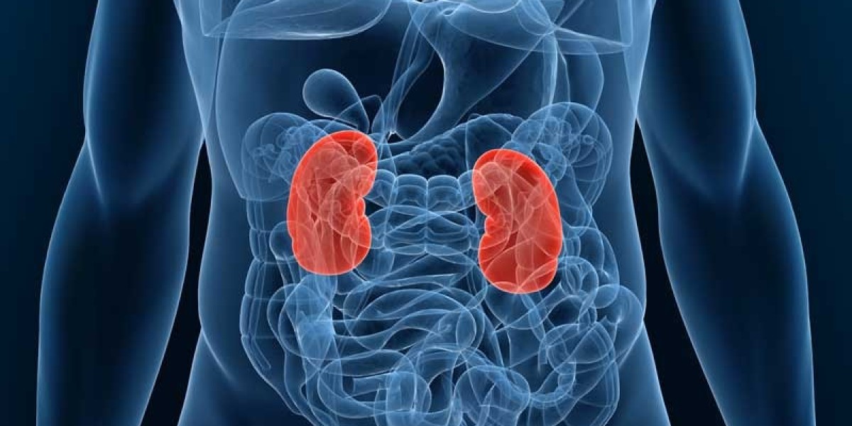 End-Stage Renal Disease Market Share, Epidemiology, Analysis & Trends 2024-2034