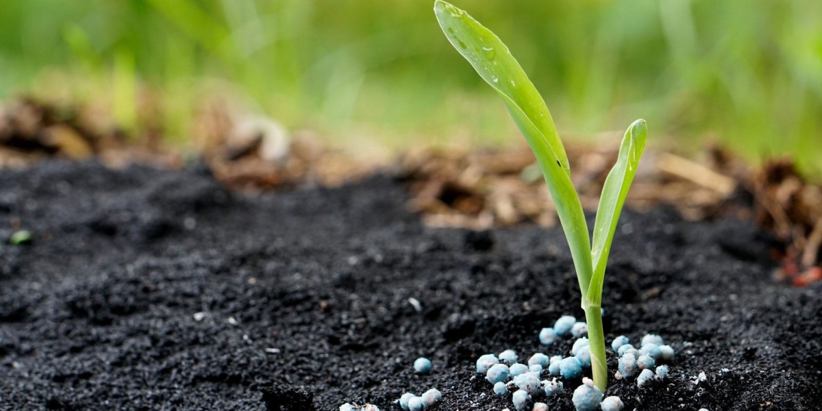 Seeds of Change: Catalyst Fertilizer Market Trends
