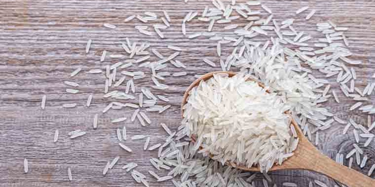 Exploring the World of Basmati Rice