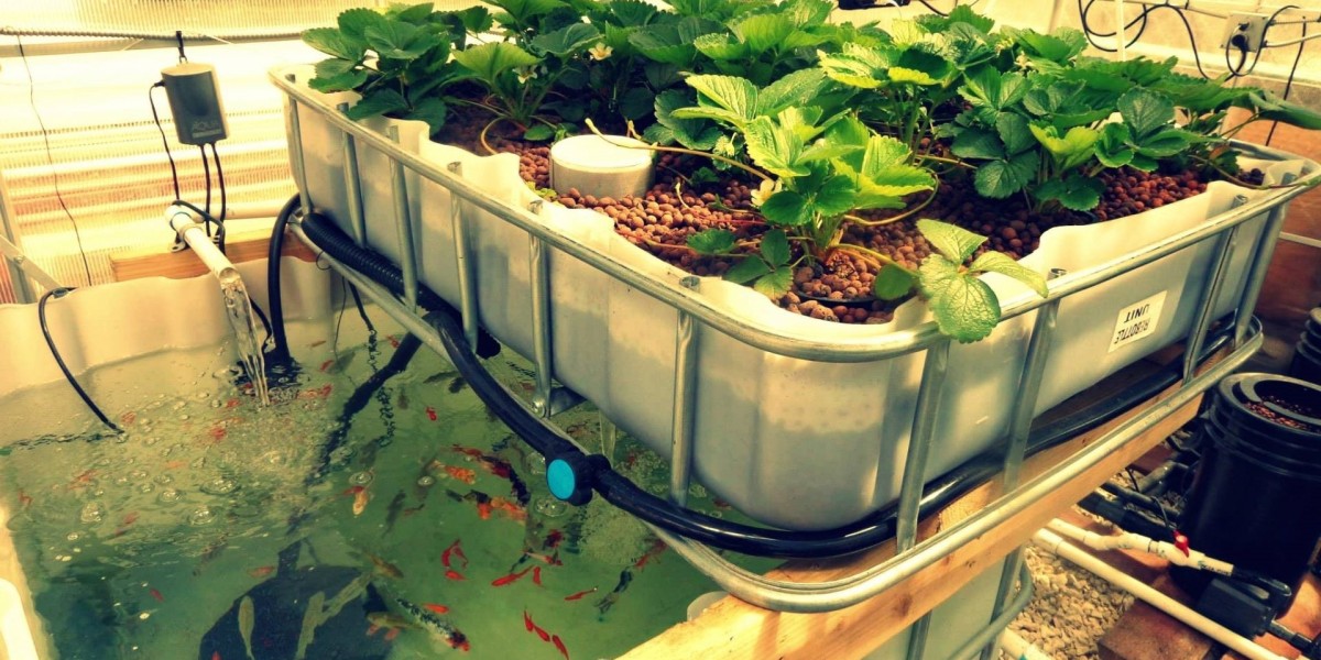 12.60% CAGR Unveiled: Aquaponics Market Analysis and Trends | BMRC