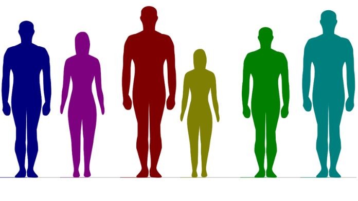 height comparison