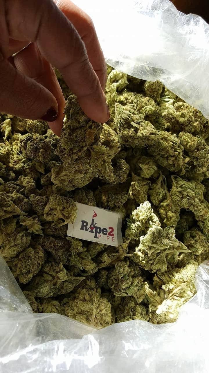 Order Weed Online With Credit Card (WhatsApp at): +1(786)949-1