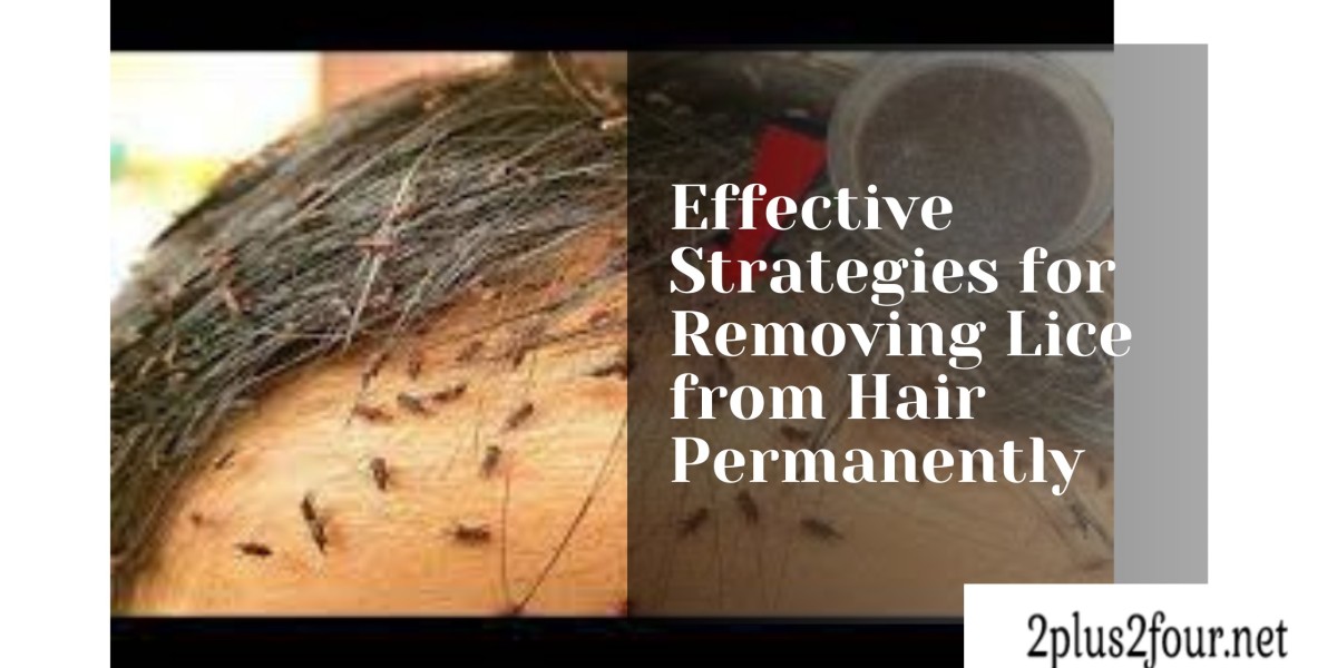 Effective Strategies for Removing Lice from Hair Permanently