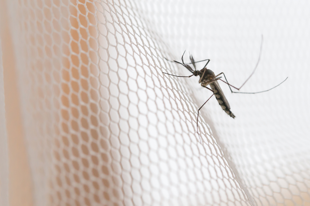 How Can Travellers Protect Themselves from Malaria?