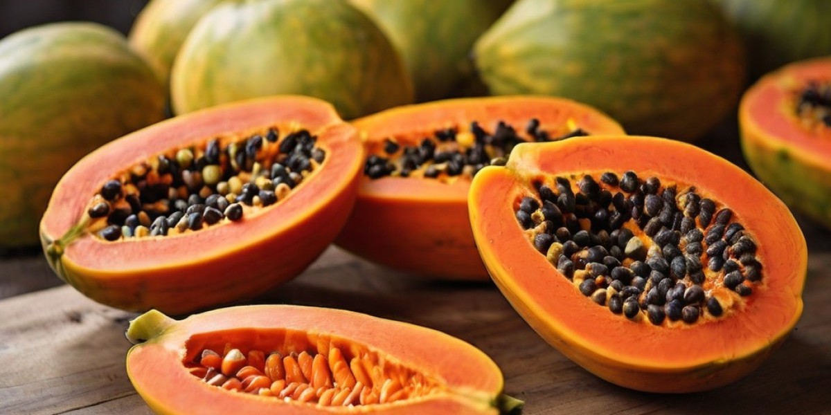Papaya Processing Plant Project Report 2024: Comprehensive Business Plan and Cost Analysis