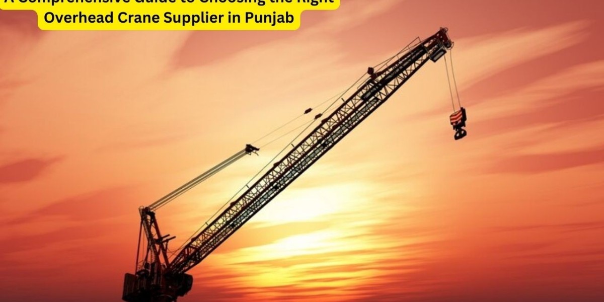 A Comprehensive Guide to Choosing the Right Overhead Crane Supplier in Punja