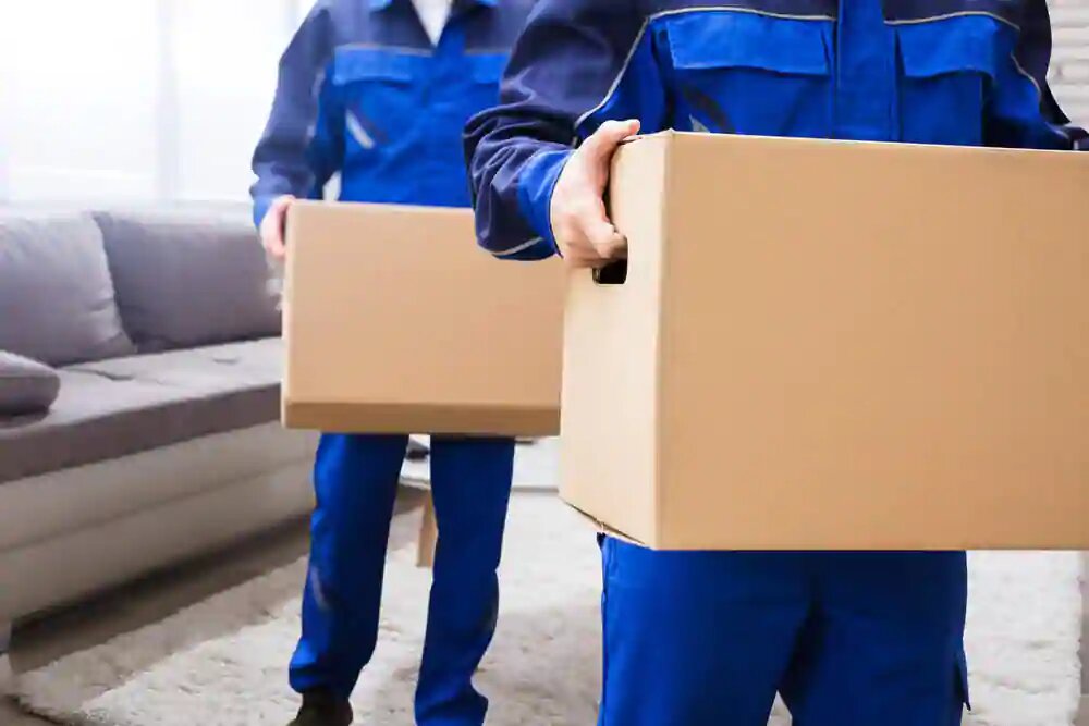 Whizolosophy | The Role of Insurance in Your Local Moving Company Experience