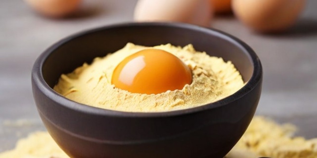 Egg Powder Manufacturing Plant 2024: Business Plan, Project Report, Plant Setup and Industry Trends