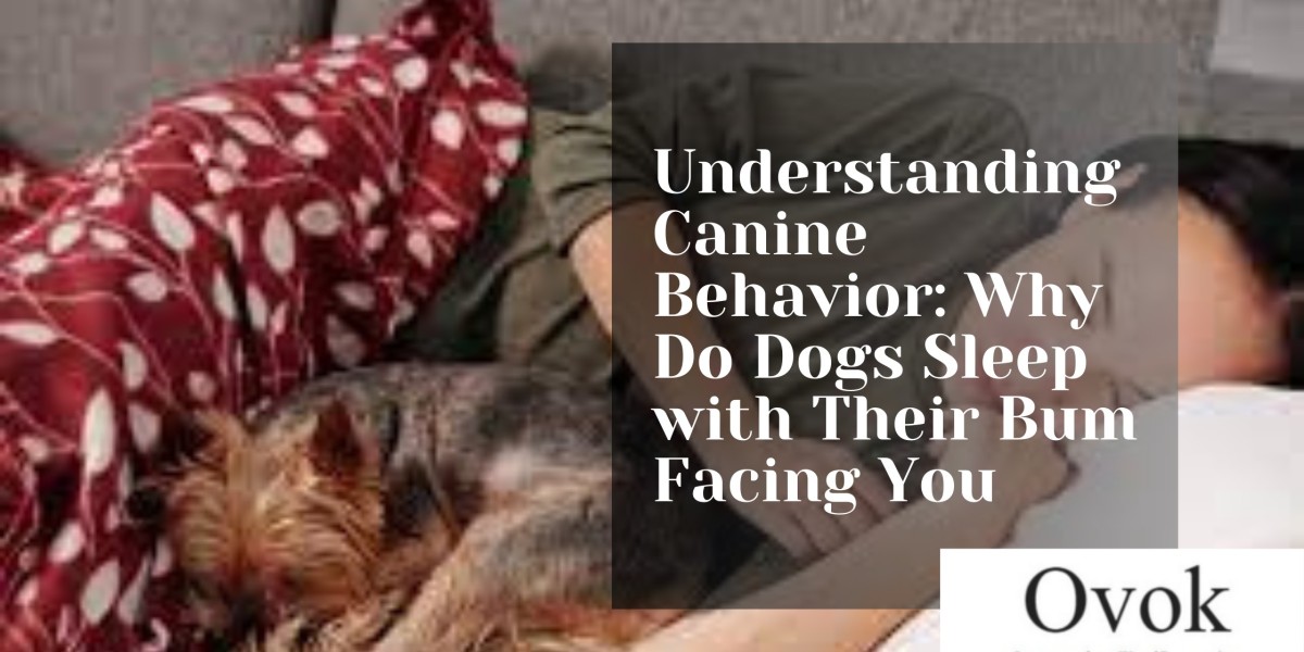 Understanding Canine Behavior: Why Do Dogs Sleep with Their Bum Facing You