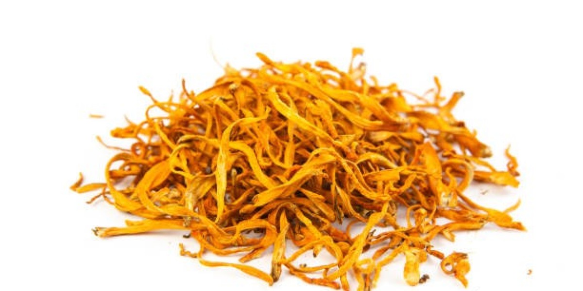 Cordyceps Sinensis and Militaris Extract Market Positively Impacted by Rising Health Supplement Consumption