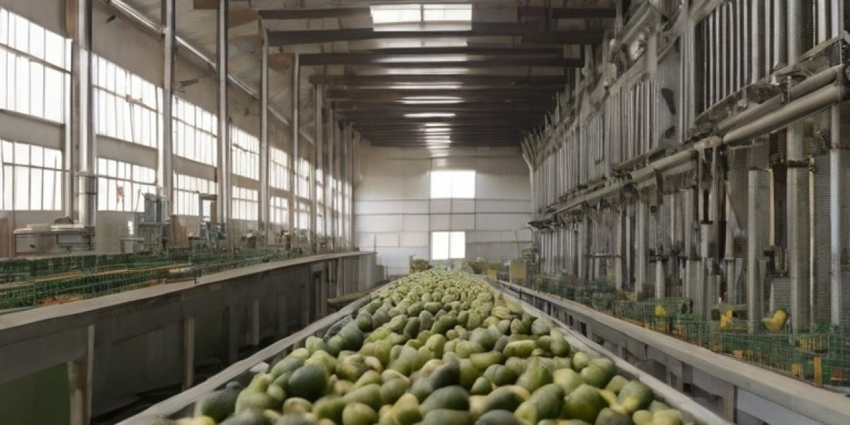Avocado Processing Plant Project Report 2024 : Industry Trends and Raw Materials
