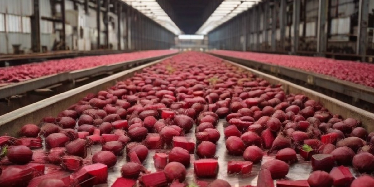 Beet Processing Plant Project Report 2024: Industry Trends, Plant Setup, Machinery, Raw Materials and Investment Opportu