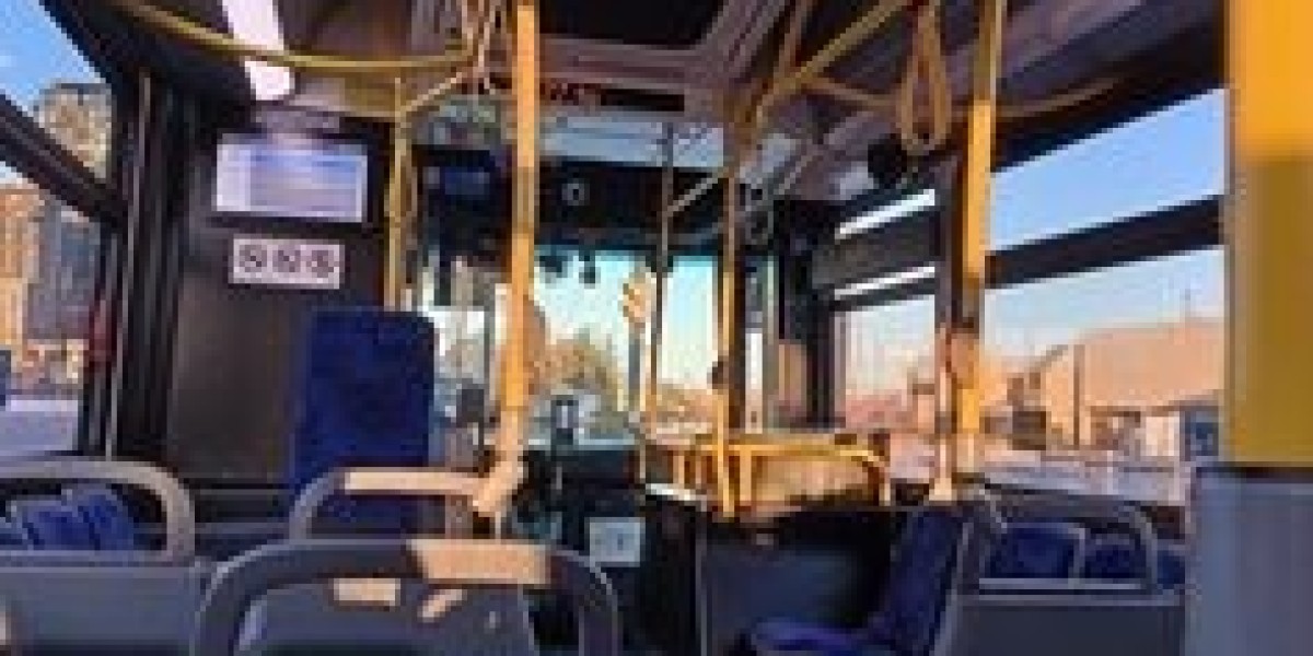 Assaying Coach Canada Charters' Coziness Toronto Coach Bus Charter