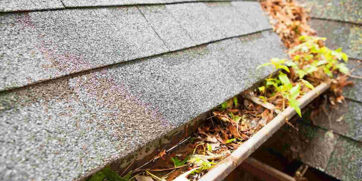 Elevate Your Home's Appeal with Gutter Cleaning Service Excellence!