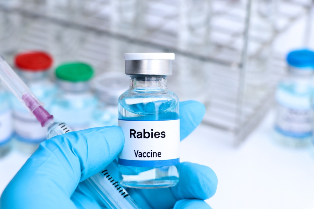 Family Travel: Ensuring Rabies Safety for Children