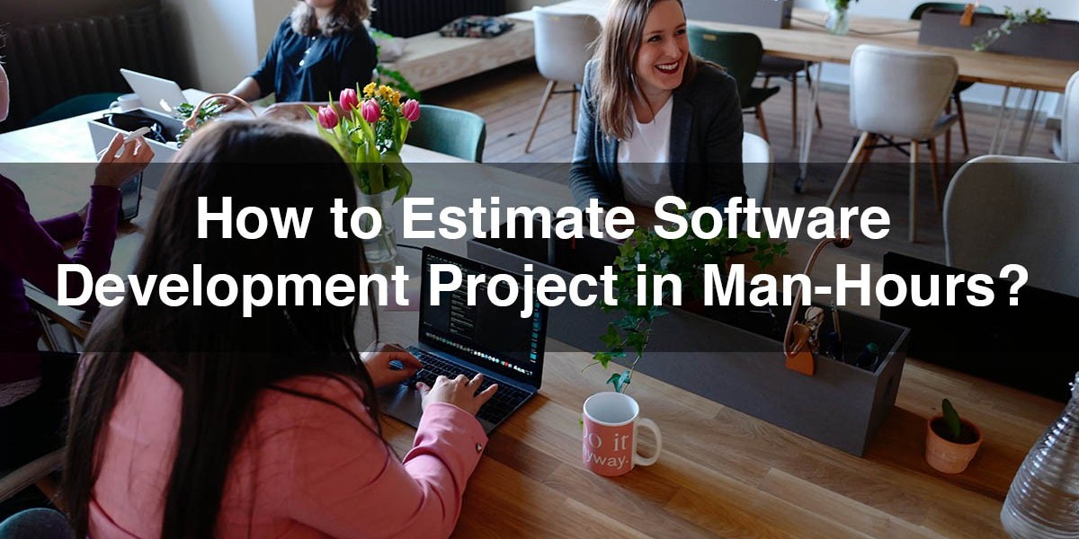 How to Estimate Software Development Project in Man-Hours (software estimate)