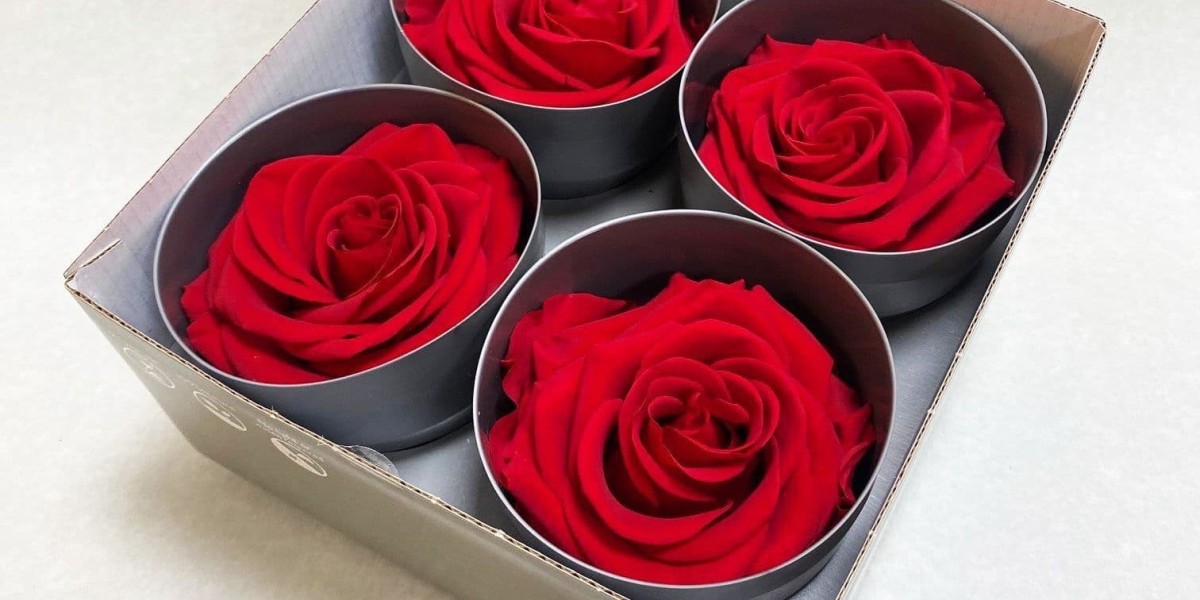 How Long Do Preserved Roses Really Last and Can They Stand the Test of Time?