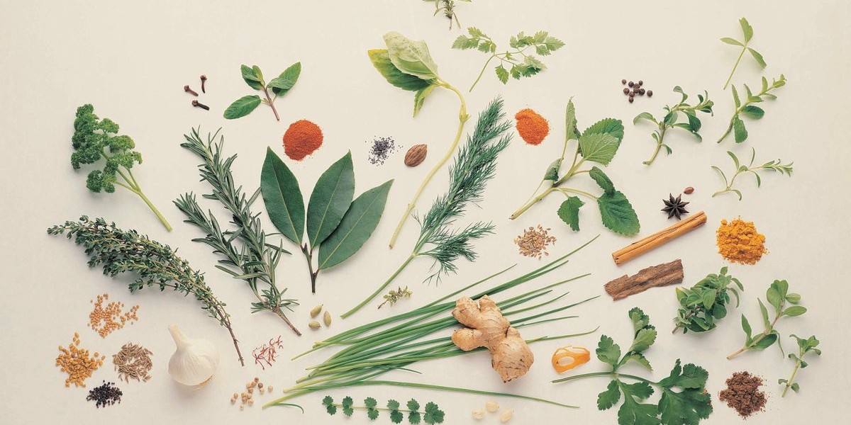 Unveiling the Lucrative Medicinal Plant Extracts Market: A Deep Dive into Phytotherapeutics