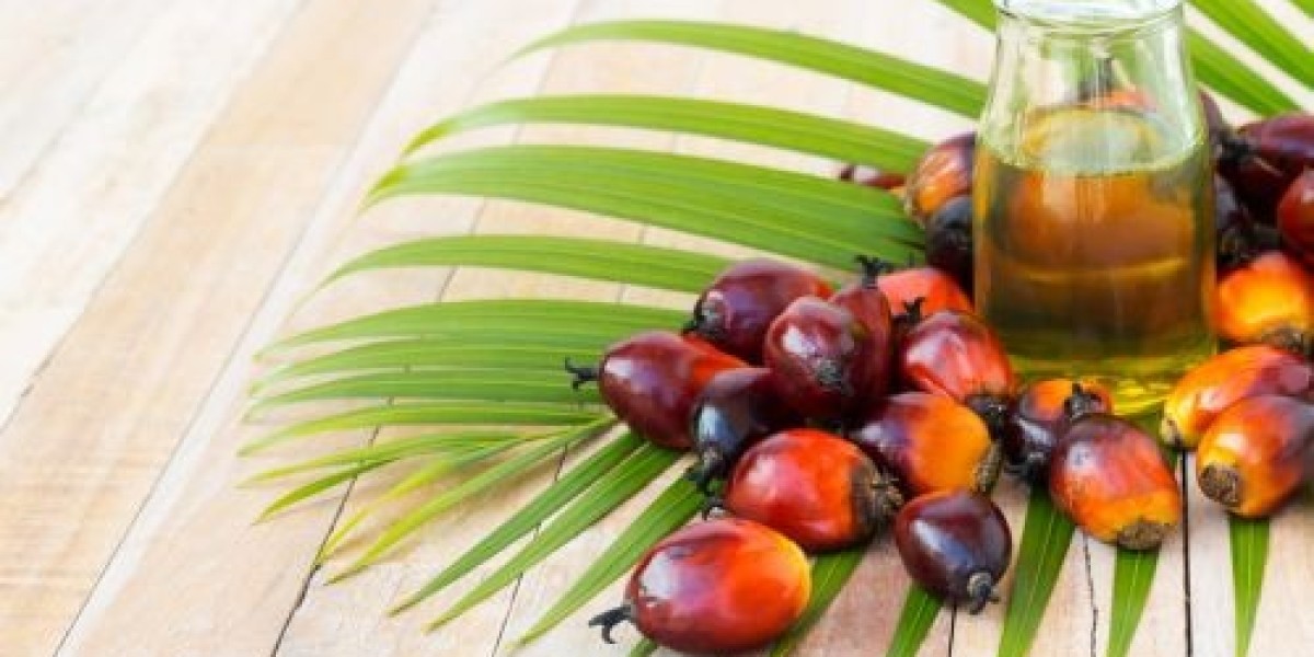 Palm Oil Market Trends 2024-2032: Growth, Dynamics, and Opportunities