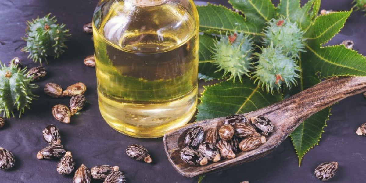 Europe Castor Oil Market Overview, Industry Growth Rate, Research Report 2024-2032