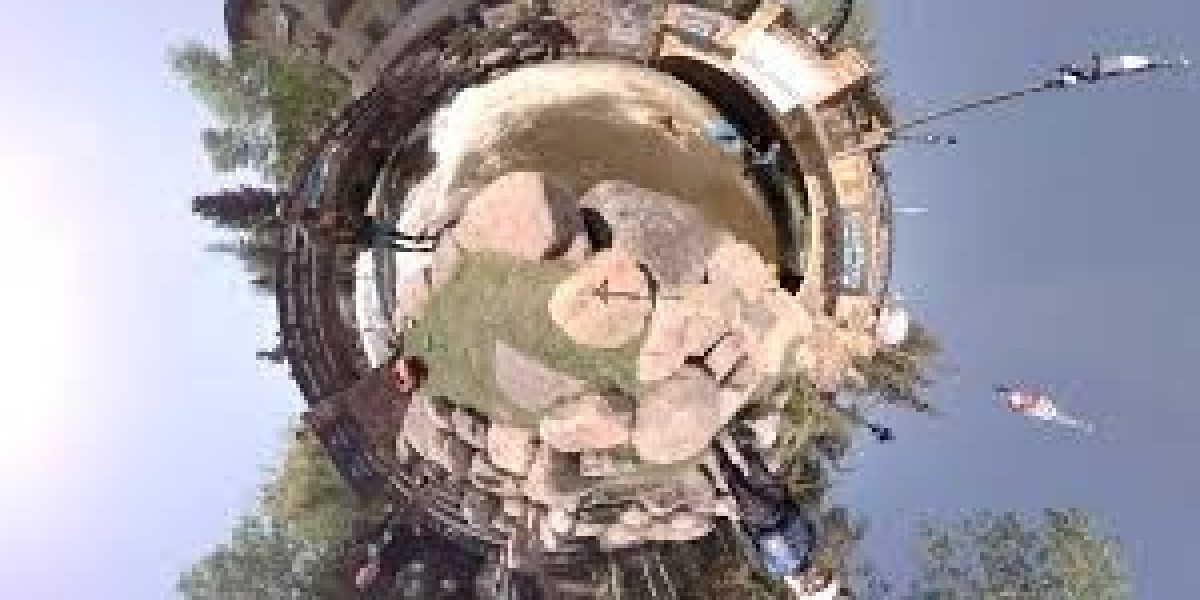 "360-Degree Insight: Seeing the World in Full Perspective"